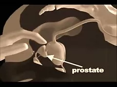 انجمن,, , به, پس,
