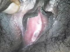 انجمن روسیه, گربه وحشی, مادر, همسرم ریزه اندام ورزش ها داده شده است یک ساله در خانه اش